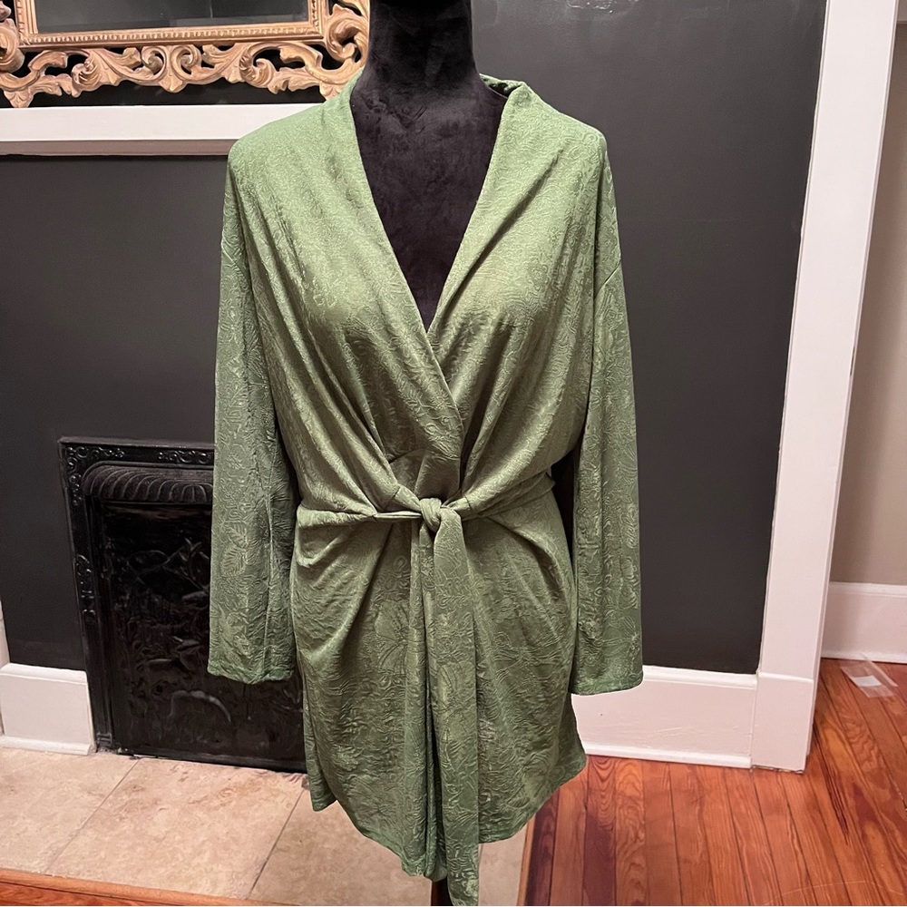 NWT Zara  green tie dress!
